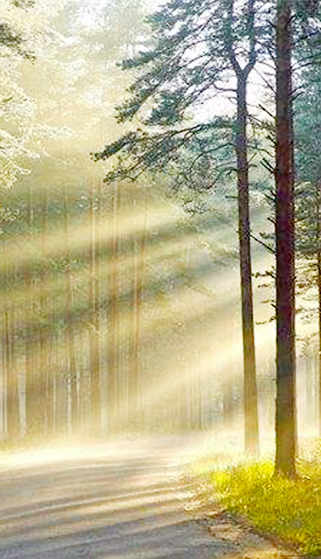  揚州凱文家居生活用品有限公司